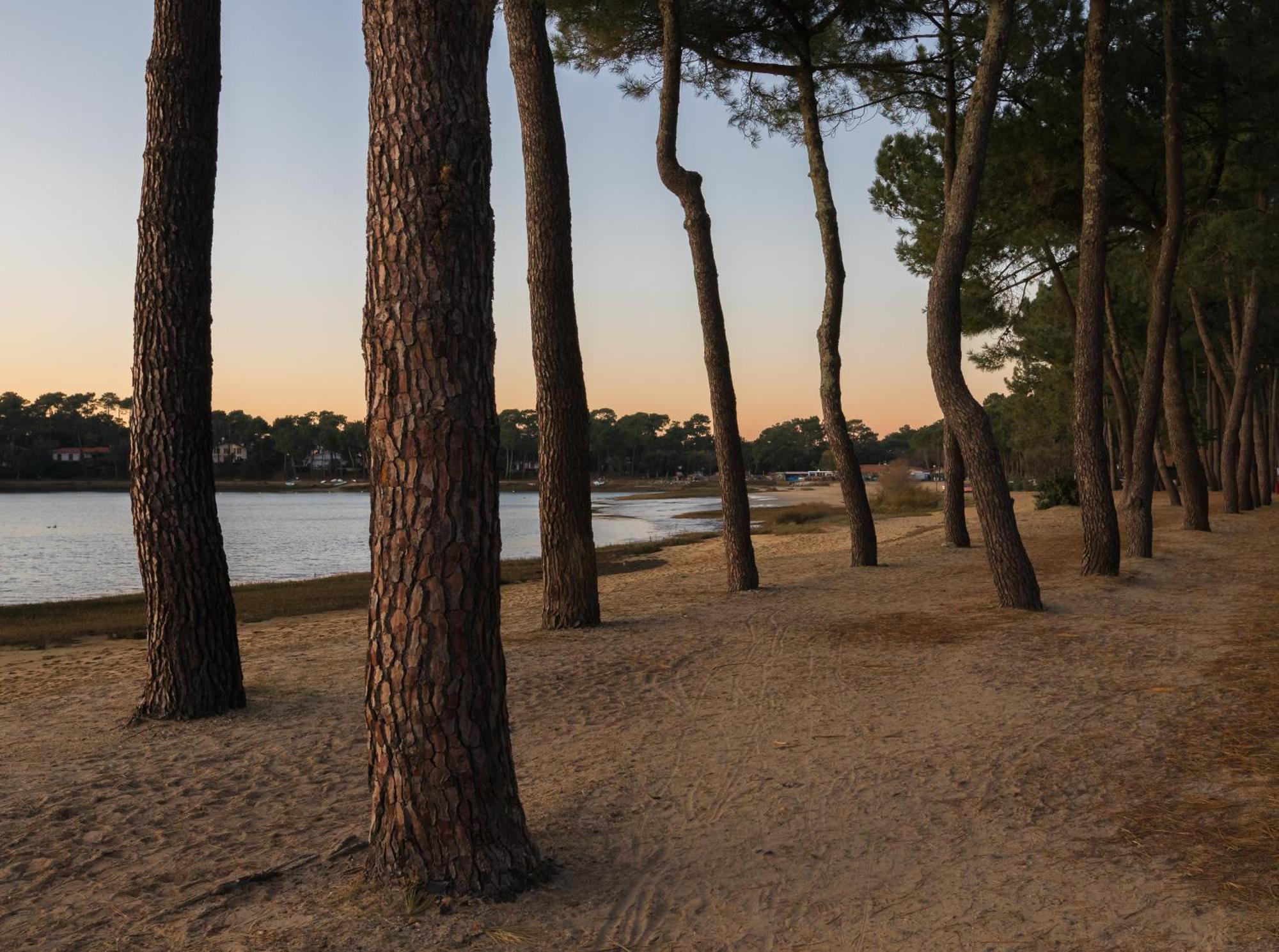 Residence Hoteliere Les Acanthes Soorts-Hossegor Dış mekan fotoğraf