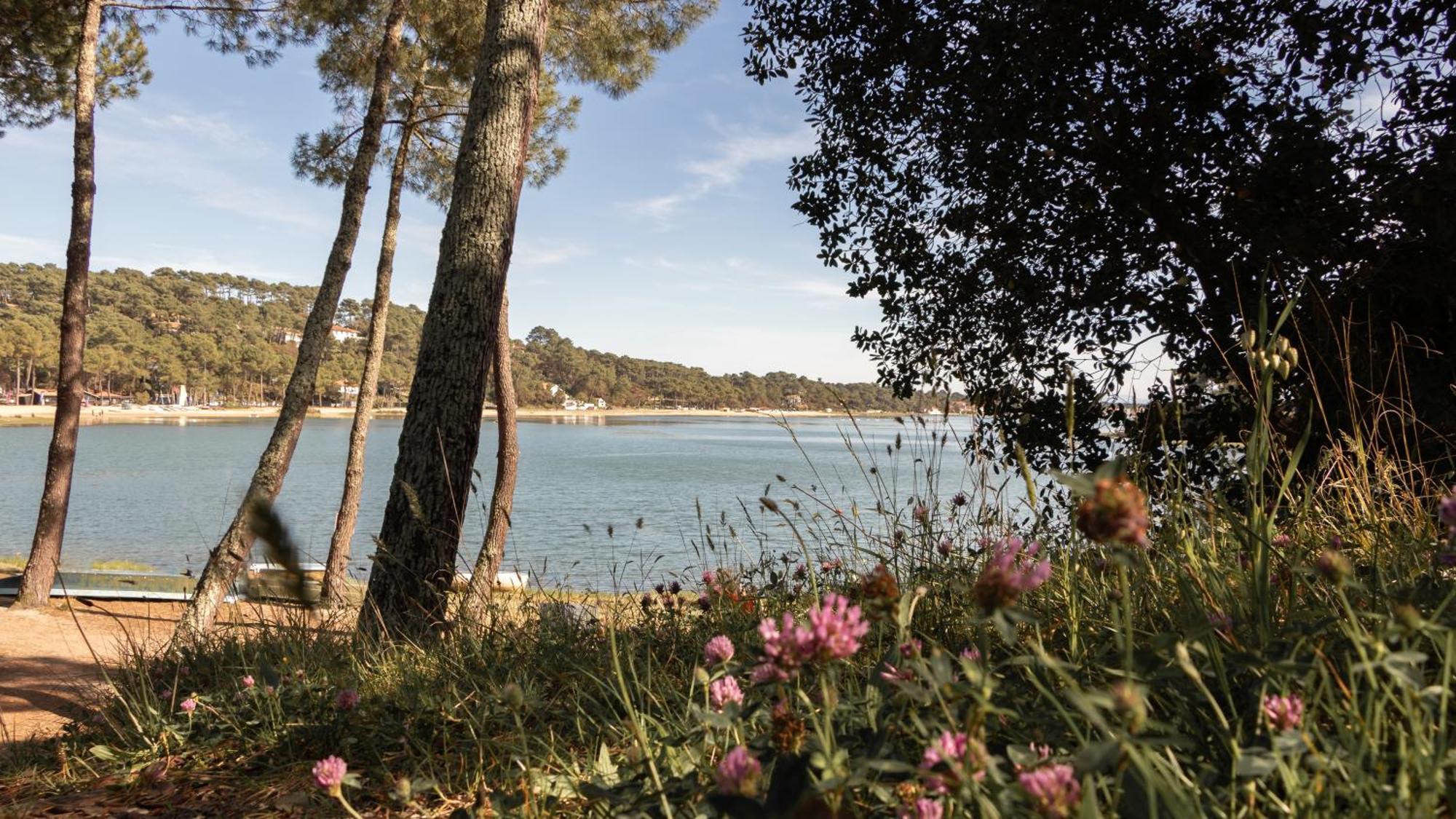 Residence Hoteliere Les Acanthes Soorts-Hossegor Dış mekan fotoğraf